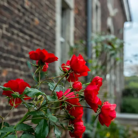 La Ferme De L'hoste 2*
