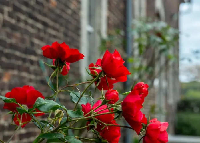 La Ferme De L'hoste 2*