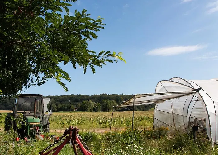 Bed and Breakfast La Ferme De L'hoste